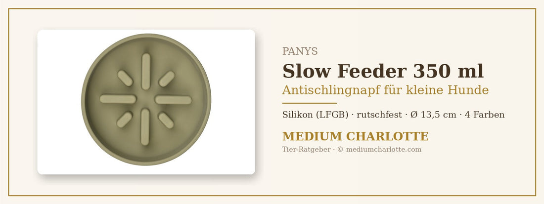Antischlingnapf kleine Hunde – PANYS Slow Feeder Bowl 350 ml mit Stegen
