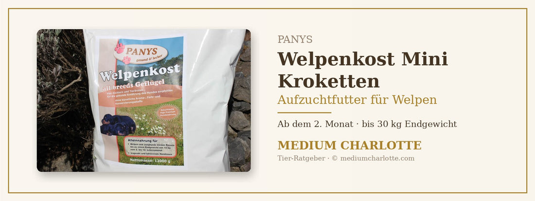 Aufzuchtfutter für Welpen – PANYS Welpenkost Mini Kroketten