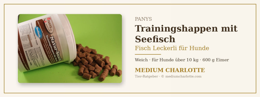 Fisch Leckerli für Hunde – PANYS Trainingshappen Seefisch vor dem 600-g-Eimer