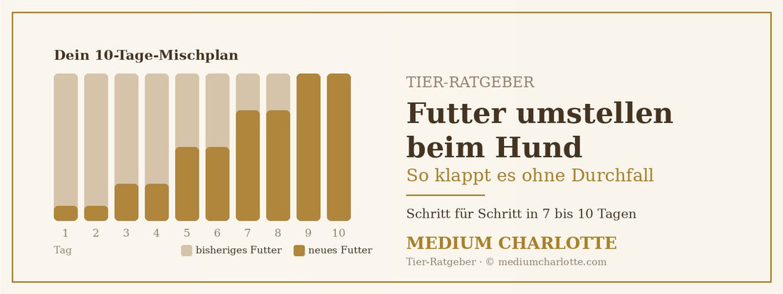 Futter umstellen beim Hund ohne Durchfall – 10-Tage-Mischplan