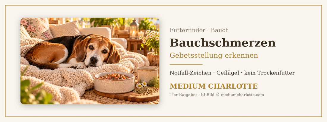 Bauchschmerzen beim Hund – Beagle liegt ruhig auf einer weichen Decke, daneben ein Napf mit Feuchtfutter und eine Schale Kräutertee