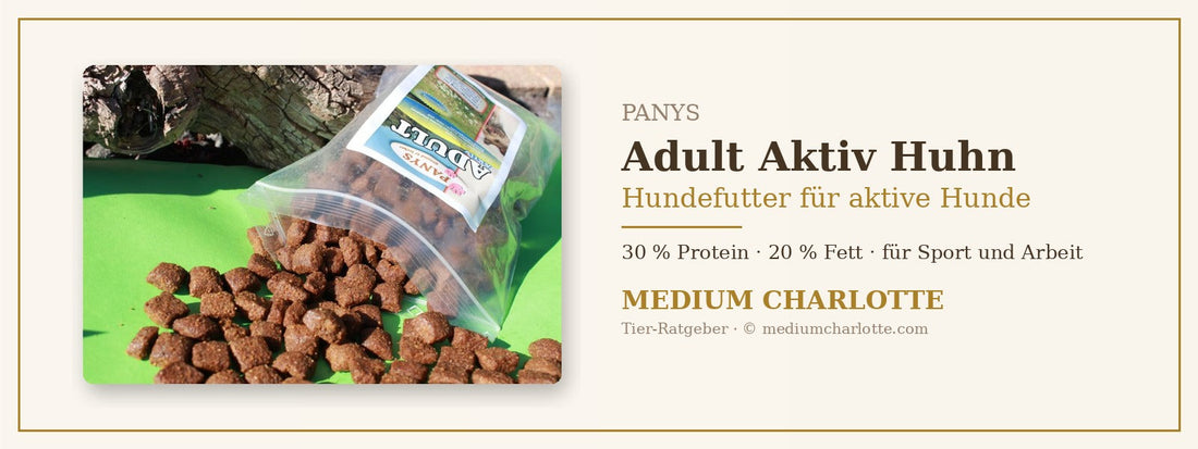 Hundefutter für aktive Hunde mit Huhn – PANYS Adult Aktiv