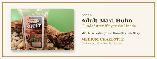 Hundefutter für grosse Hunde mit Huhn – PANYS Adult Maxi Huhn