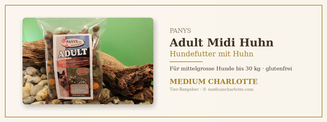 Hundefutter mit Huhn für mittelgrosse Hunde – PANYS Adult Midi Huhn