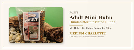 Hundefutter für kleine Hunde mit Huhn – PANYS Adult Mini Huhn