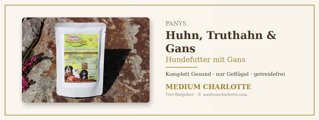 Hundefutter mit Gans – PANYS Fleischmahlzeit Huhn, Truthahn & Gans, Komplett Gesund