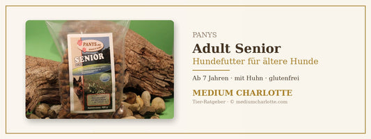 Hundefutter für ältere Hunde – PANYS Adult Senior