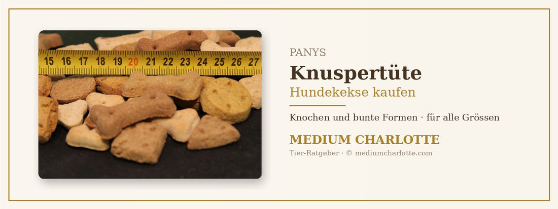 Hundekekse kaufen – PANYS Knuspertüte mit Knochen und bunten Formen