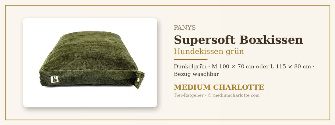 Hundekissen grün – PANYS Supersoft Kuschel-Hundeboxkissen in Dunkelgrün
