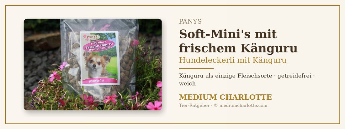 Hundeleckerli mit Känguru – PANYS Soft-Mini's Frischkänguru, Obst und Gemüse im 200-g-Beutel