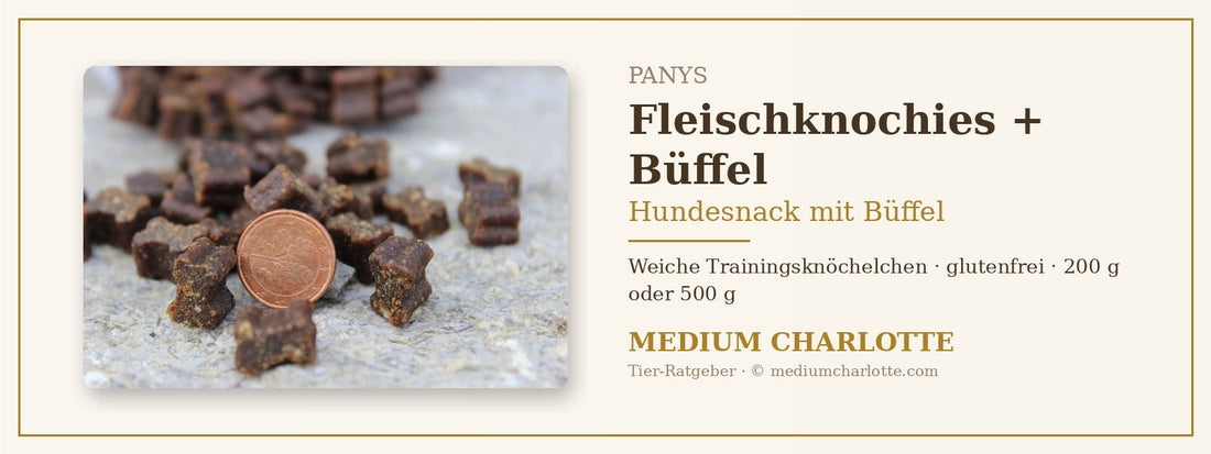 Hundesnack mit Büffel – PANYS Fleischknochies, weiche Trainingsknöchelchen