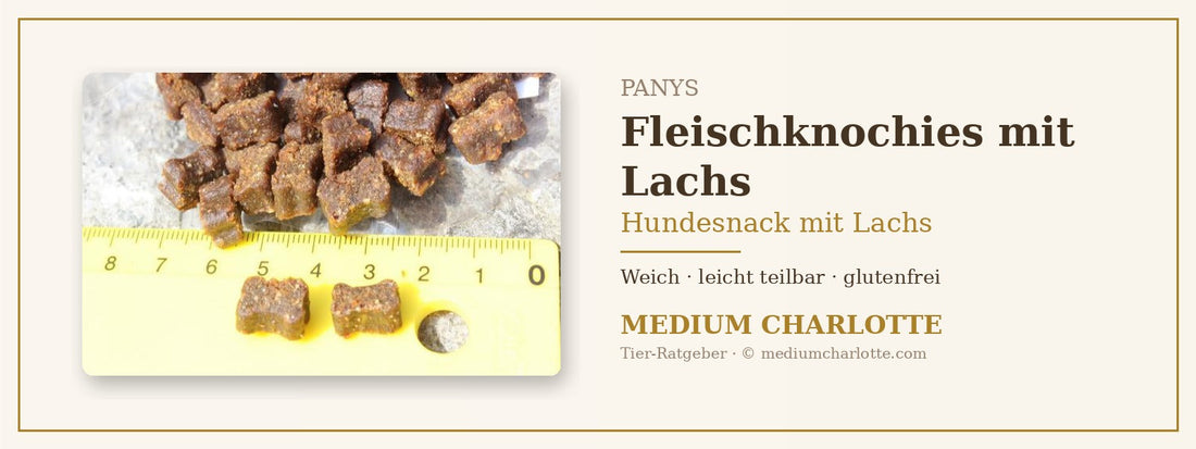 Hundesnack mit Lachs – PANYS Fleischknochies mit Lachs in Knöchelchenform