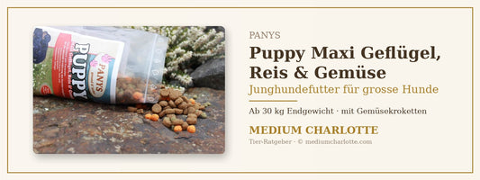 Junghundefutter für grosse Hunde – PANYS Puppy Maxi Geflügel, Reis & Gemüse