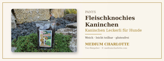 Kaninchen Leckerli für Hunde – PANYS Fleischknochies mit Kaninchen