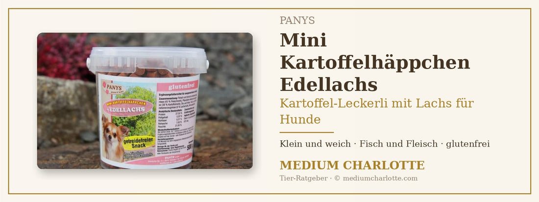 Kartoffel-Leckerli mit Lachs für Hunde – PANYS Mini Kartoffelhäppchen Edellachs im 500-g-Eimer