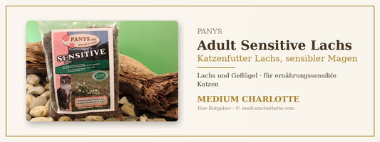 Katzenfutter Lachs sensibler Magen – PANYS Adult Sensitive Lachs