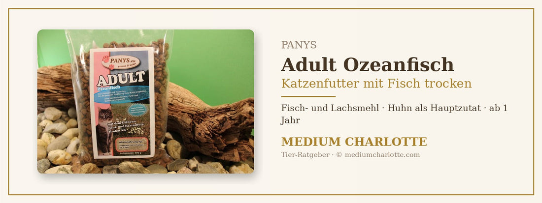 Katzenfutter mit Fisch trocken – PANYS Adult Ozeanfisch