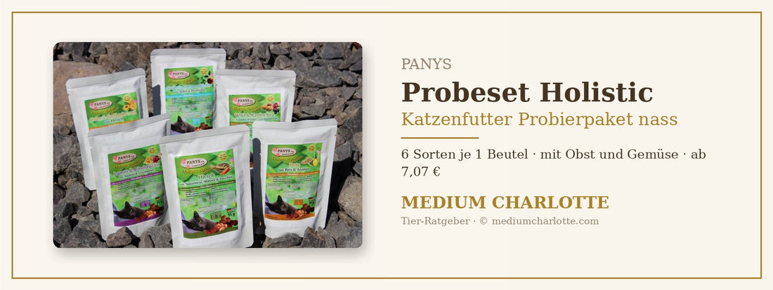 Katzenfutter Probierpaket nass – PANYS Probeset mit 6 Holistic-Sorten