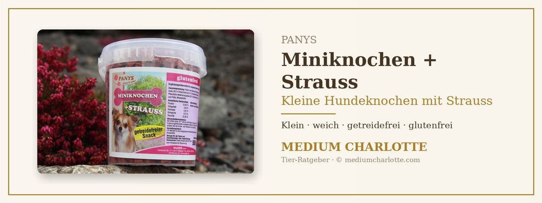Kleine Hundeknochen mit Strauss – PANYS Miniknochen + Strauss im 500-g-Eimer