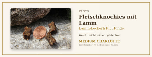 Lamm-Leckerli für Hunde – PANYS Fleischknochies mit Lamm neben einer 1-Cent-Münze
