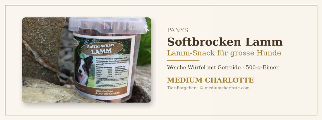 Lamm-Snack für grosse Hunde – PANYS Softbrocken Lamm im 500-g-Eimer