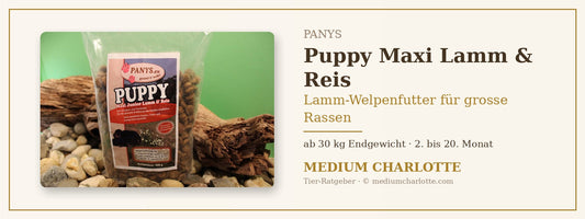 Lamm-Welpenfutter für grosse Rassen – PANYS Puppy Maxi Lamm & Reis