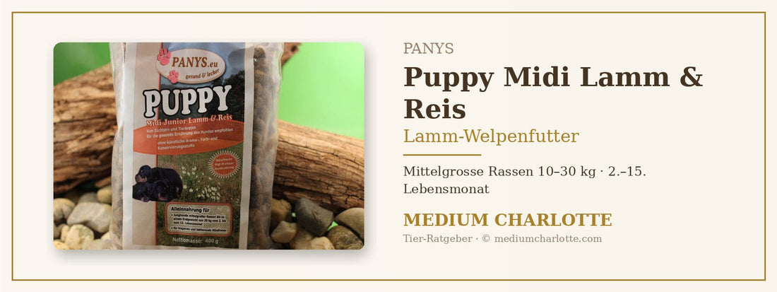 Lamm-Welpenfutter für mittelgrosse Rassen – PANYS Puppy Midi Lamm & Reis