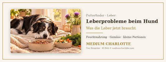 Lebererkrankung beim Hund – Border-Collie-Mischling ruht neben Feuchtfutter, frischem Gemüse und Petersilie
