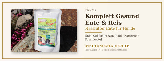 Nassfutter Ente für Hunde – PANYS Komplett Gesund Menü Ente, Geflügelherzen, Naturreis