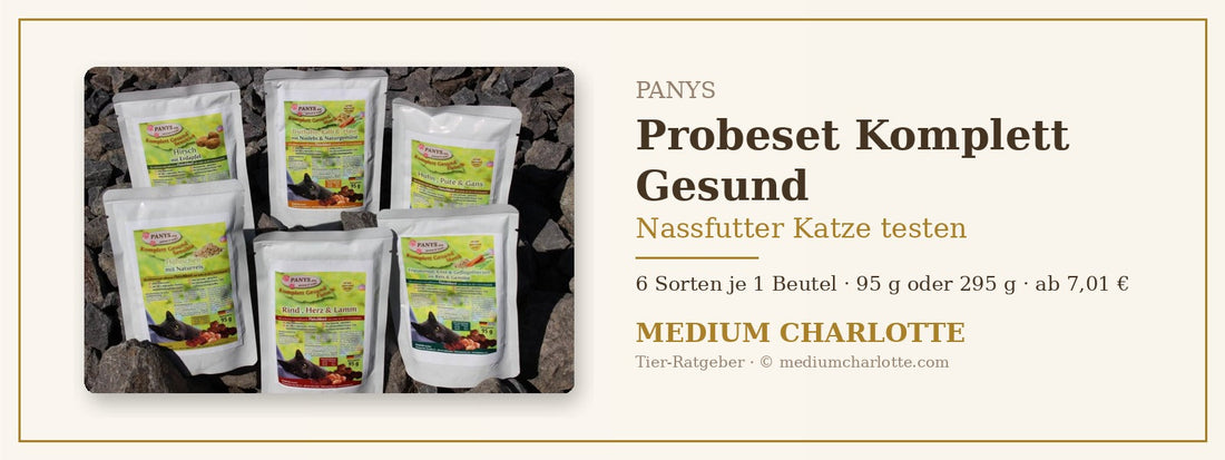 Nassfutter Katze testen – PANYS Probeset Komplett Gesund mit 6 Sorten