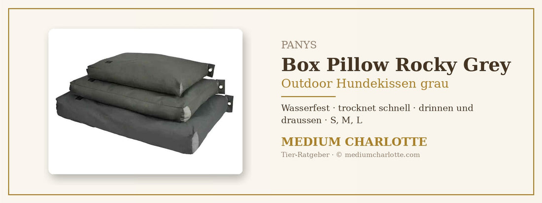 Outdoor Hundekissen grau – PANYS Box Pillow Rocky Grey