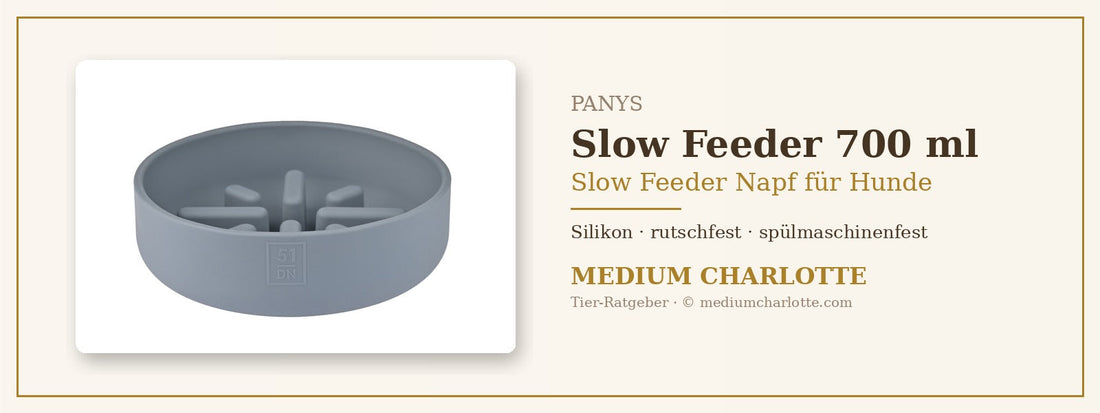 Slow Feeder Napf Hund – PANYS Slow Feeder Bowl 700 ml