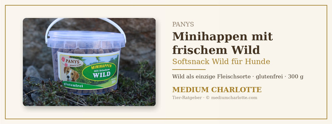 Softsnack Wild für Hunde – PANYS Minihappen mit frischem Wild im 300-g-Eimer