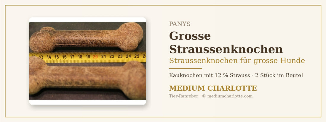 Straussenknochen für grosse Hunde – PANYS Grosse Straussenknochen, 2 Stück im Beutel