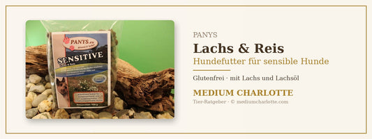 Hundefutter mit Lachs und Reis für sensible Hunde – PANYS