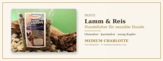Hundefutter mit Lamm und Reis für sensible Hunde – PANYS
