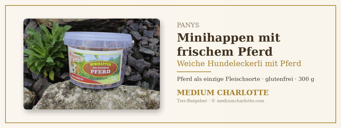 Weiche Hundeleckerli mit Pferd – PANYS Minihappen mit frischem Pferd im 300-g-Eimer