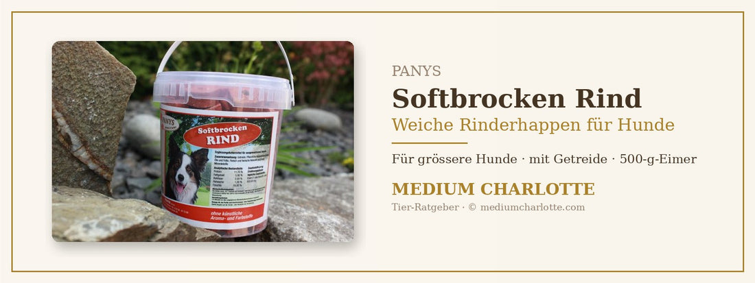 Weiche Rinderhappen für Hunde – PANYS Softbrocken Rind im 500-g-Eimer