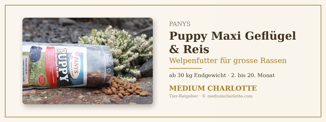 Welpenfutter für grosse Rassen – PANYS Puppy Maxi Geflügel & Reis