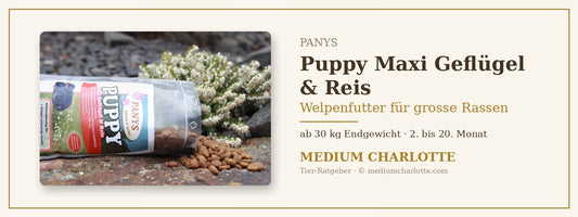 Welpenfutter für grosse Rassen – PANYS Puppy Maxi Geflügel & Reis