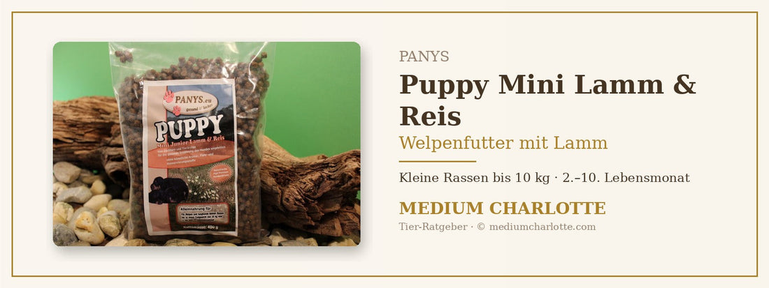 Welpenfutter mit Lamm für kleine Rassen – PANYS Puppy Mini Lamm & Reis