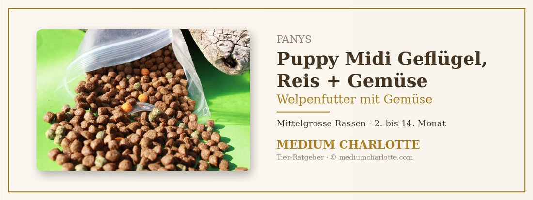 Welpenfutter mit Gemüse – PANYS Puppy Midi Geflügel, Reis + Gemüse