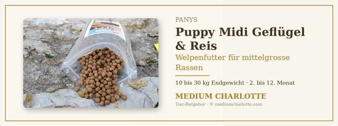 Welpenfutter für mittelgrosse Rassen – PANYS Puppy Midi Geflügel & Reis
