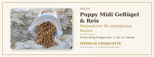 Welpenfutter für mittelgrosse Rassen – PANYS Puppy Midi Geflügel & Reis