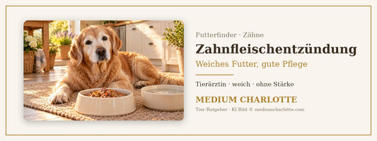 Zahnfleischentzündung beim Hund – älterer Golden Retriever liegt in einer hellen Küche vor einem Napf mit weichem Feuchtfutter